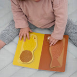 Libro con solapas