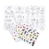 Cuaderno pegatinas El Botanista