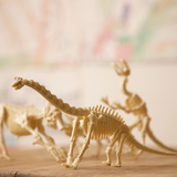 Kidzlabs Kit Geológico de un Tyrannosaurus Rex