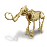 KidzLabs Kit Geológico del Esqueleto de Mamut