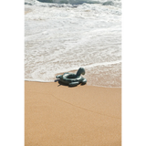 Flotador tortuga Pheobe