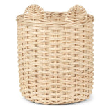 Cesta Iger