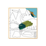 Actividades Agua Dino