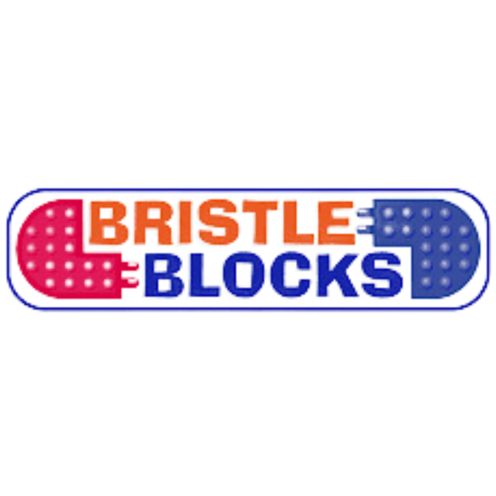 BRISTLE BLOCKS