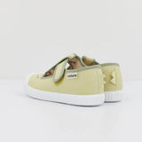 Zapatillas Lona Dino