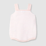 Ranita de Punto Rosa