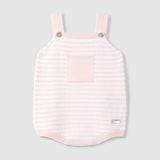 Ranita de Punto Rosa