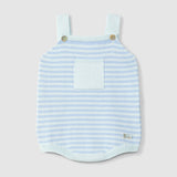 Ranita de Punto Azul