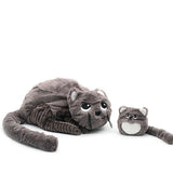 Miaou The Cat