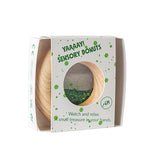 Donut Sensorial Calma con Purpurina