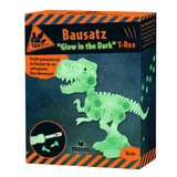 Kit Construcción Fluorescente Dino