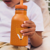 Botella Isotérmica 350 ml - Mr. Fox
