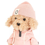 Lucky Doggy Fendi Alp Season