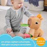 Capibara Abracitos