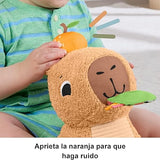 Capibara Abracitos