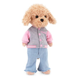 Lucky Doggy Urban Chic