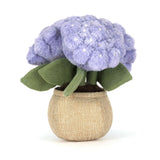 Hortensia Amuseables
