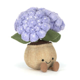 Hortensia Amuseables