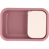 Caja Almuerzo Bento  Blossom Birds