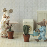 Ratón Hermano Mayor en Caja de Cerilla