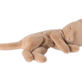 Gatito dormido, Pequeño - Crema Melocotón