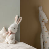 My First Bunny - Empolvado