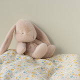 Conejito de Peluche - Polvo