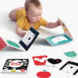 Libros + Tarjetas de Alto Contraste