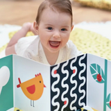 Libros + Tarjetas de Alto Contraste