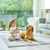 Flauta Dulce para Músicos Principiantes