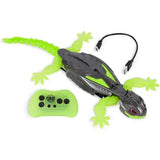 Radiocontrol Smart Gecko
