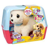 Perrito Retriever Little Live Pets.