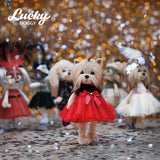 Lucky Doggy Yoyo Fiesta