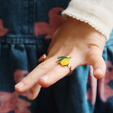 Pack 12 Anillos