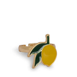 Pack 12 Anillos