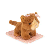 Gatito de Peluche con Casita