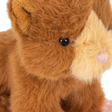Gatito de Peluche con Casita