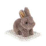 Conejito de Peluche con Casita