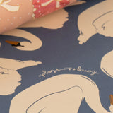 Papel de Regalo Bailarina