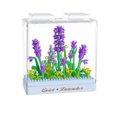 Koco Fresh flower Lavanda