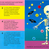 El Cuerpo Humano por Dentro