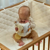 Cubo Blandito de Actividades Safari Friends