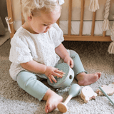 Set musical Teddy