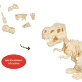 Kit Esqueleto de T-Rex en Huevo