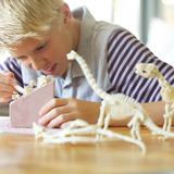 Kidzlabs Kit Geológico de un Triceratops