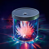 Kit Cultiva tus Cristales
