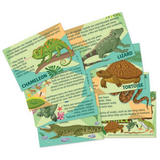 Mould and Paint Reptiles y Anfibios