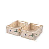 Caja de Almacenamiento Dinos - Pack de 2