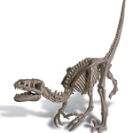 Kidzlabs Velociraptor