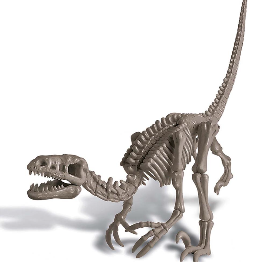 Kidzlabs Velociraptor